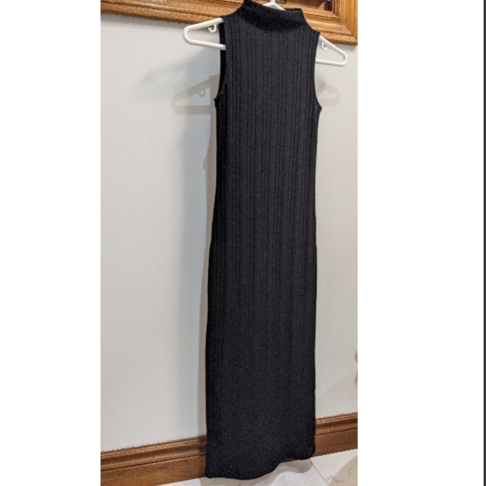 Aritzia Wilfred Free Turtleneck/sleeveless Dress